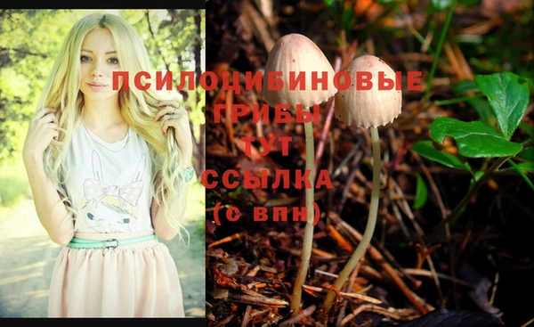 гидропоника Абинск