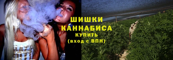 apvp Алзамай