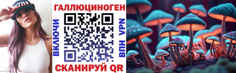 Псилоцибиновые грибы Cubensis  Козловка 