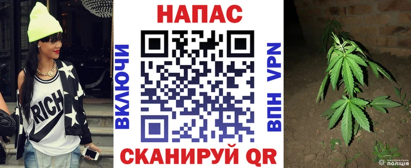 Конопля сатива Козловка